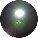 MARVIN VASQUEZ profile picture